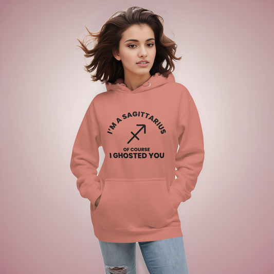 Sagittarius Light Hoodie